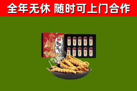 延平区烟酒回收冬虫夏草礼盒.jpg